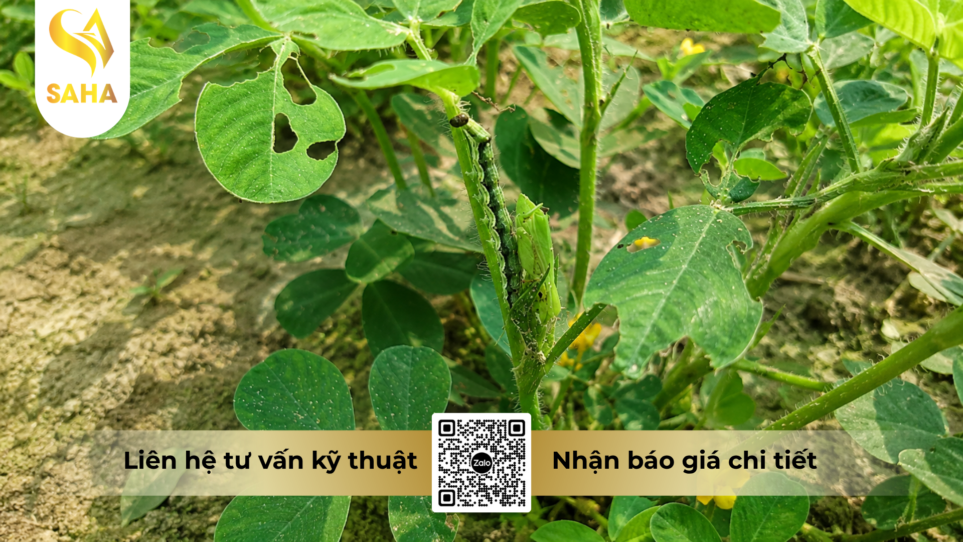 cong-dung-cua-thuoc-tru-sau-tictak-50ec-thay-the-reasgant-5ec.png