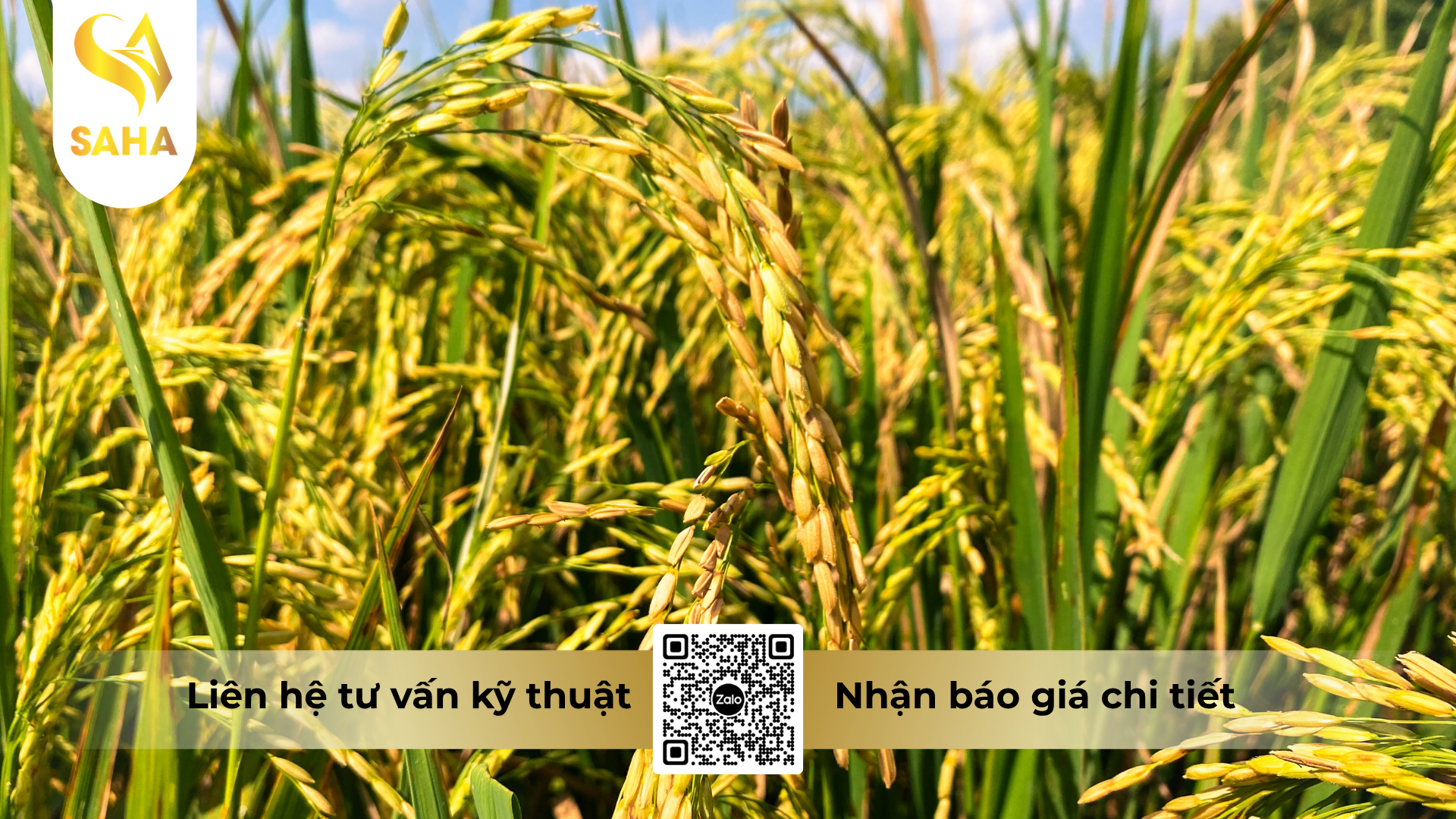cau-hoi-thuong-gap-ve-thuoc-tru-sau-tiger-five-5ec-hieu-reasgant-5-0ec.png