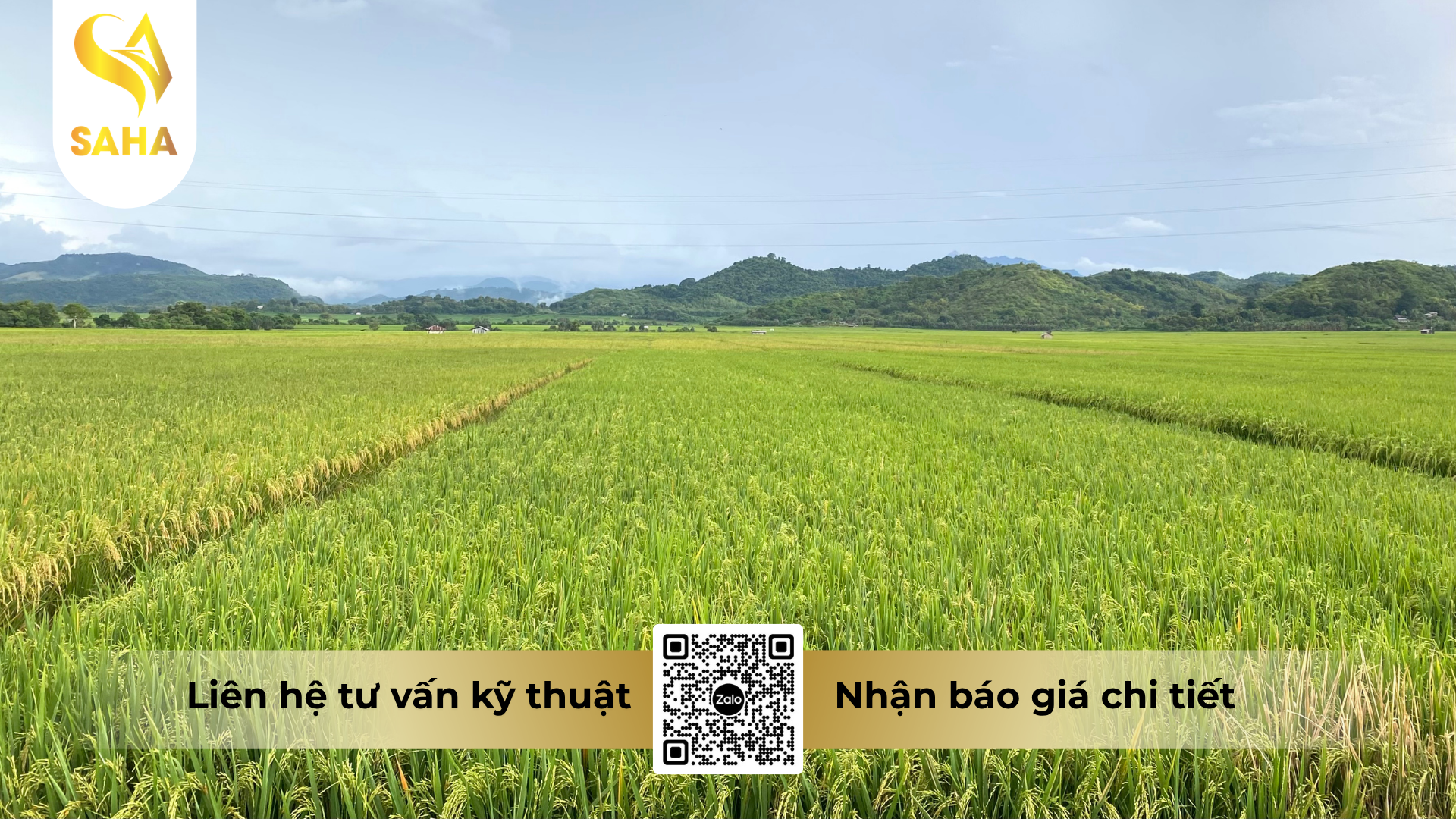 cau-hoi-thuong-gap-ve-thuoc-tru-sau-tiger-five-5ec-hieu-sanaba-5-0.png