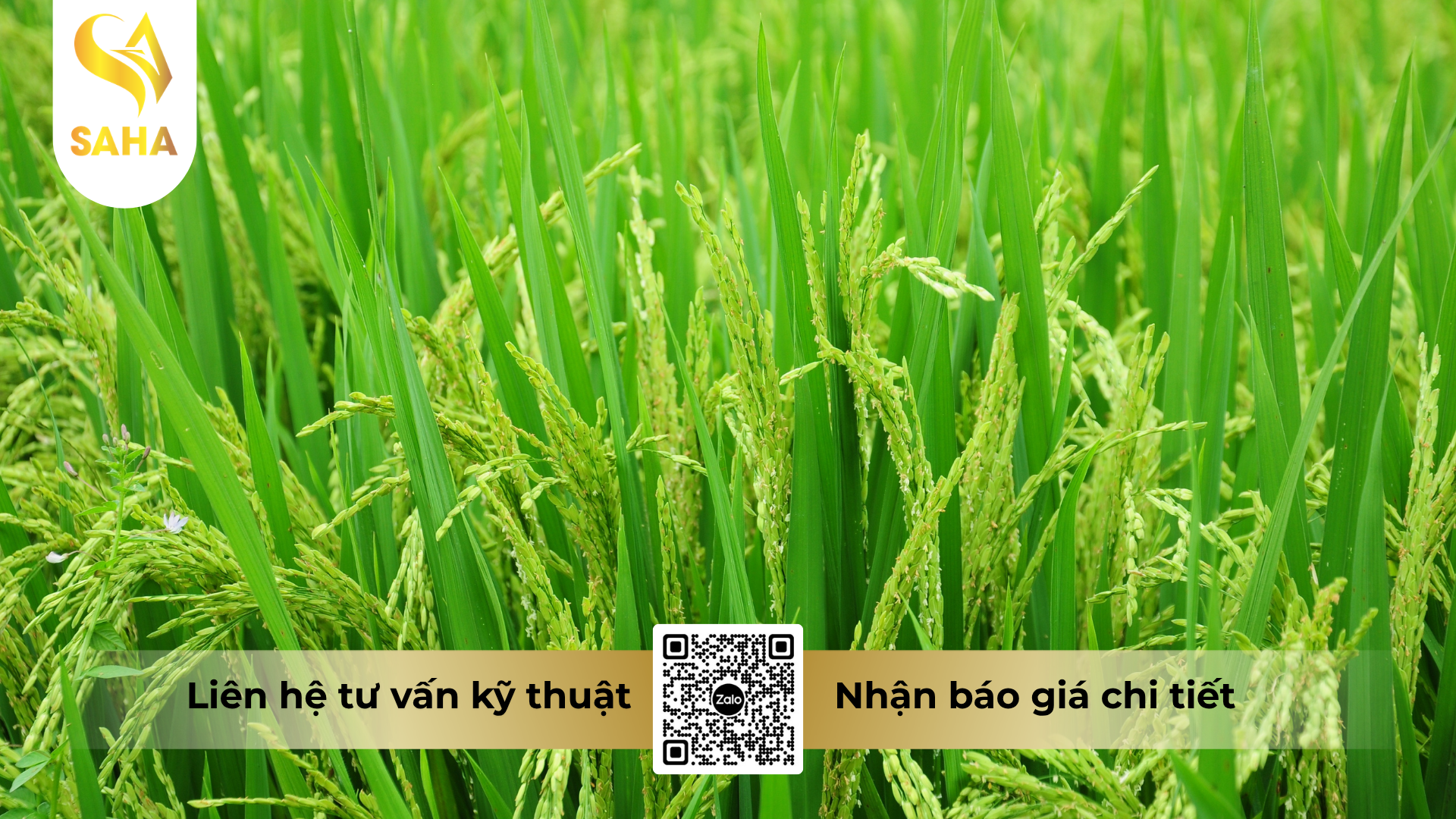 cau-hoi-thuong-gap-ve-thuoc-tru-sau-apache-10wg-hieu-emamax-t.png