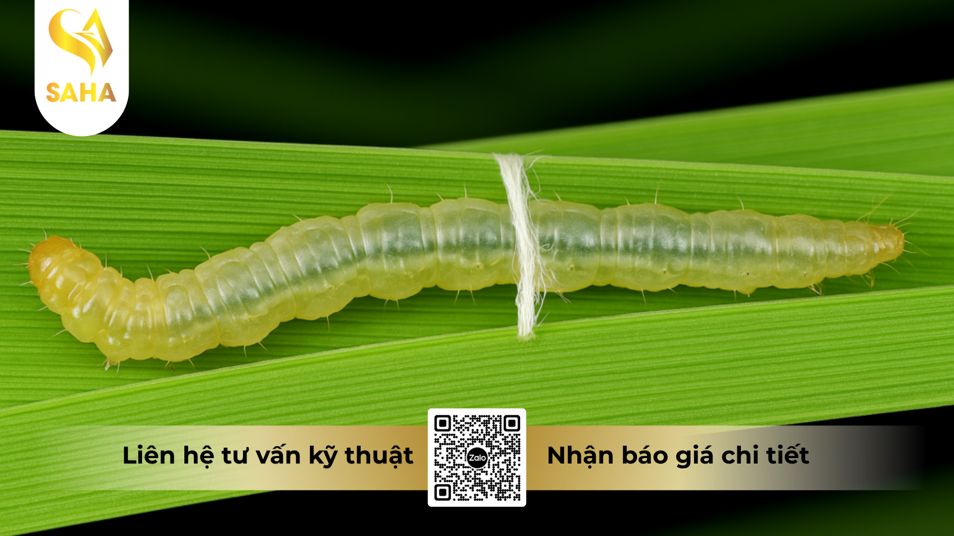 cau-hoi-thuong-gap-ve-thuoc-tru-sau-bemab-52wg.png