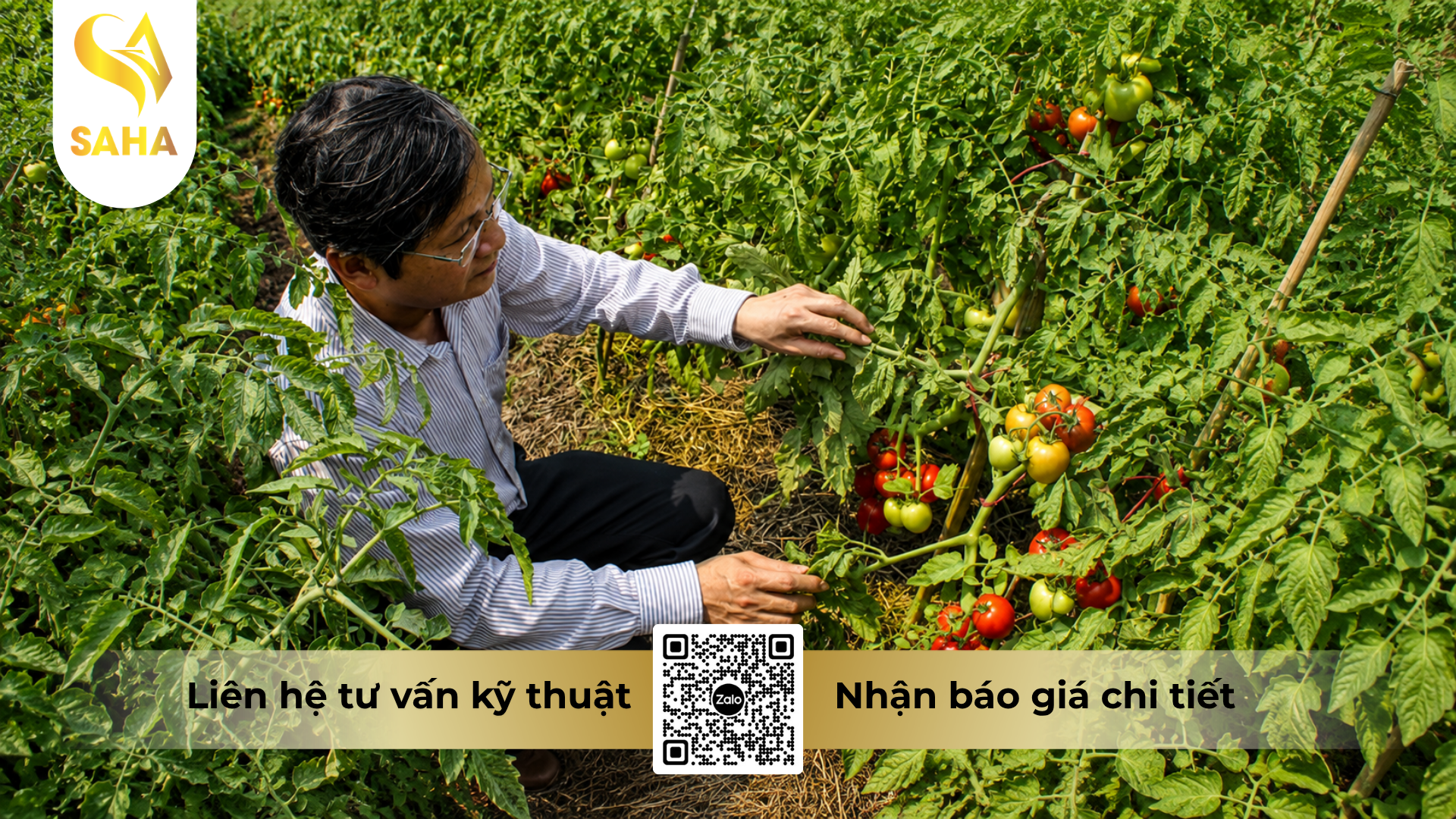 huong-dan-su-dung-thuoc-tru-sau-delfin-32wg-hieu-vua-sau.png