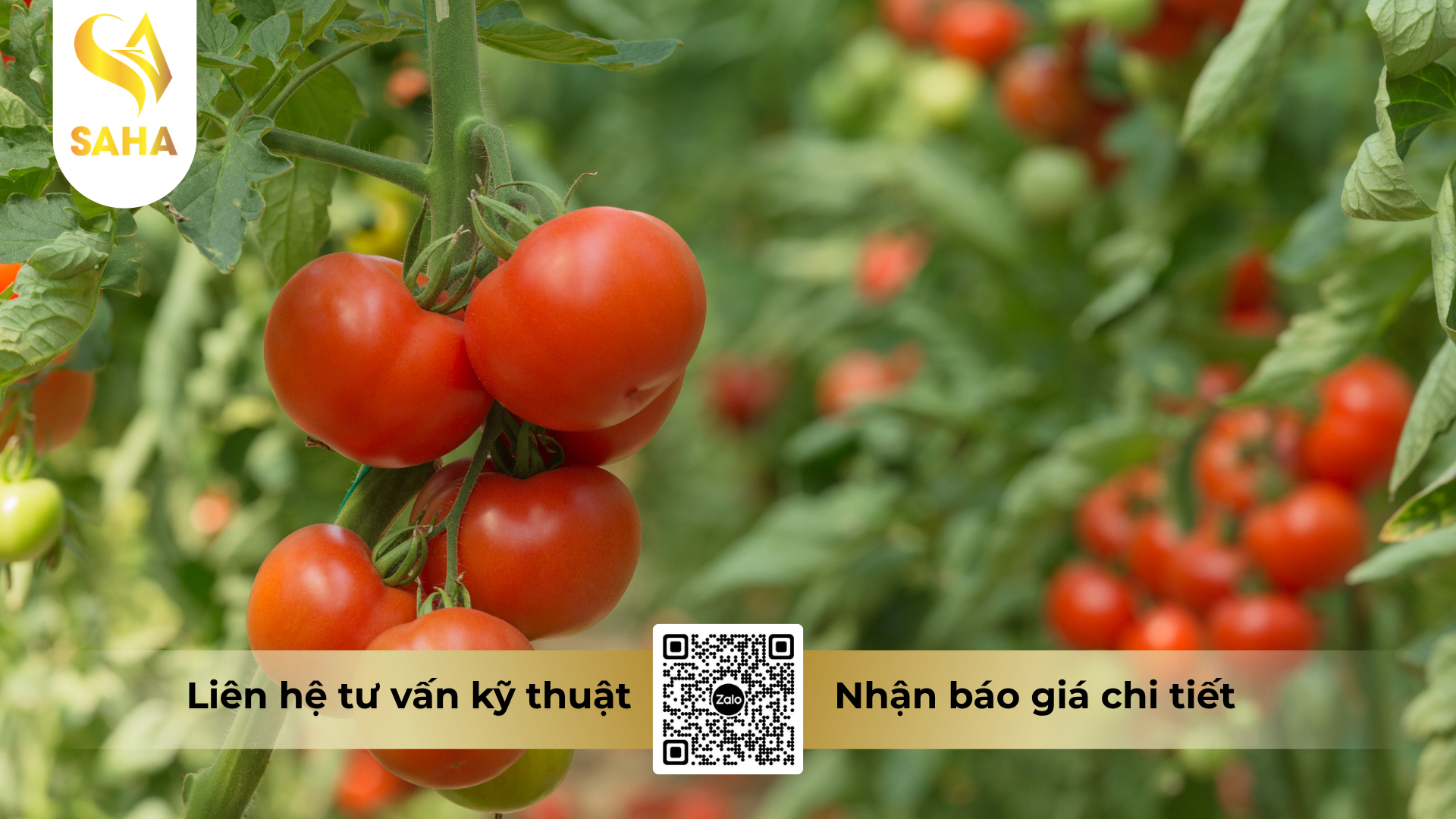 cau-hoi-thuong-gap-ve-thuoc-tru-sau-delfin-32wg-hieu-vua-sau.png