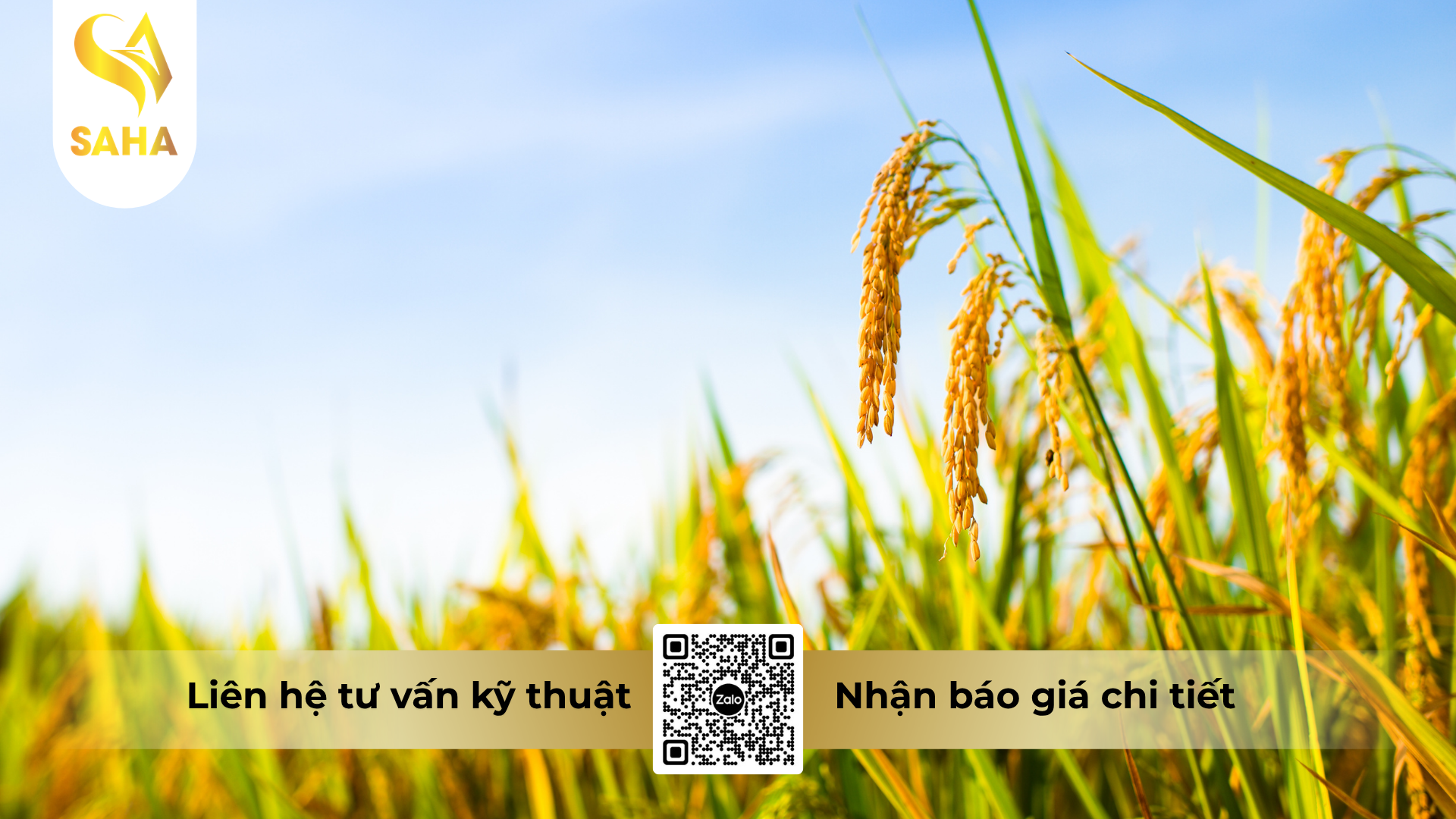 cau-hoi-thuong-gap-ve-thuoc-tru-sau-sinh-hoc-feroly-125wg-hieu-ematom-125.png