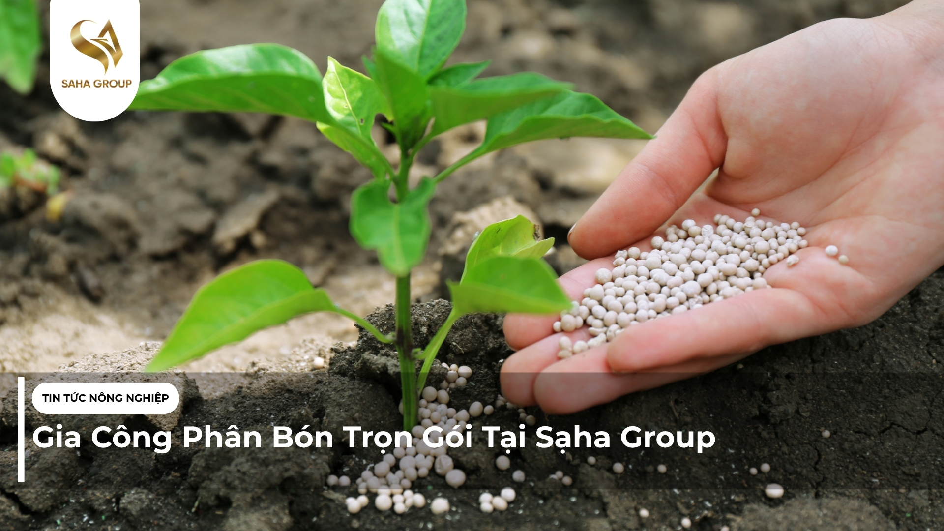 Gia Công Phân Bón Trọn Gói Tại Sạha Group