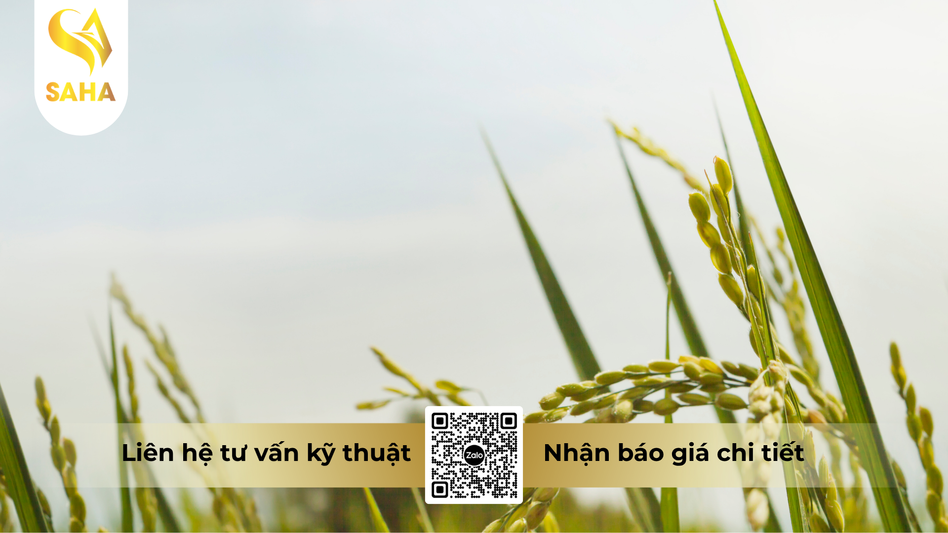 cau-hoi-thuong-gap-ve-thuoc-tru-sau-feroly-125wg-hieu-emaqueen-125.png