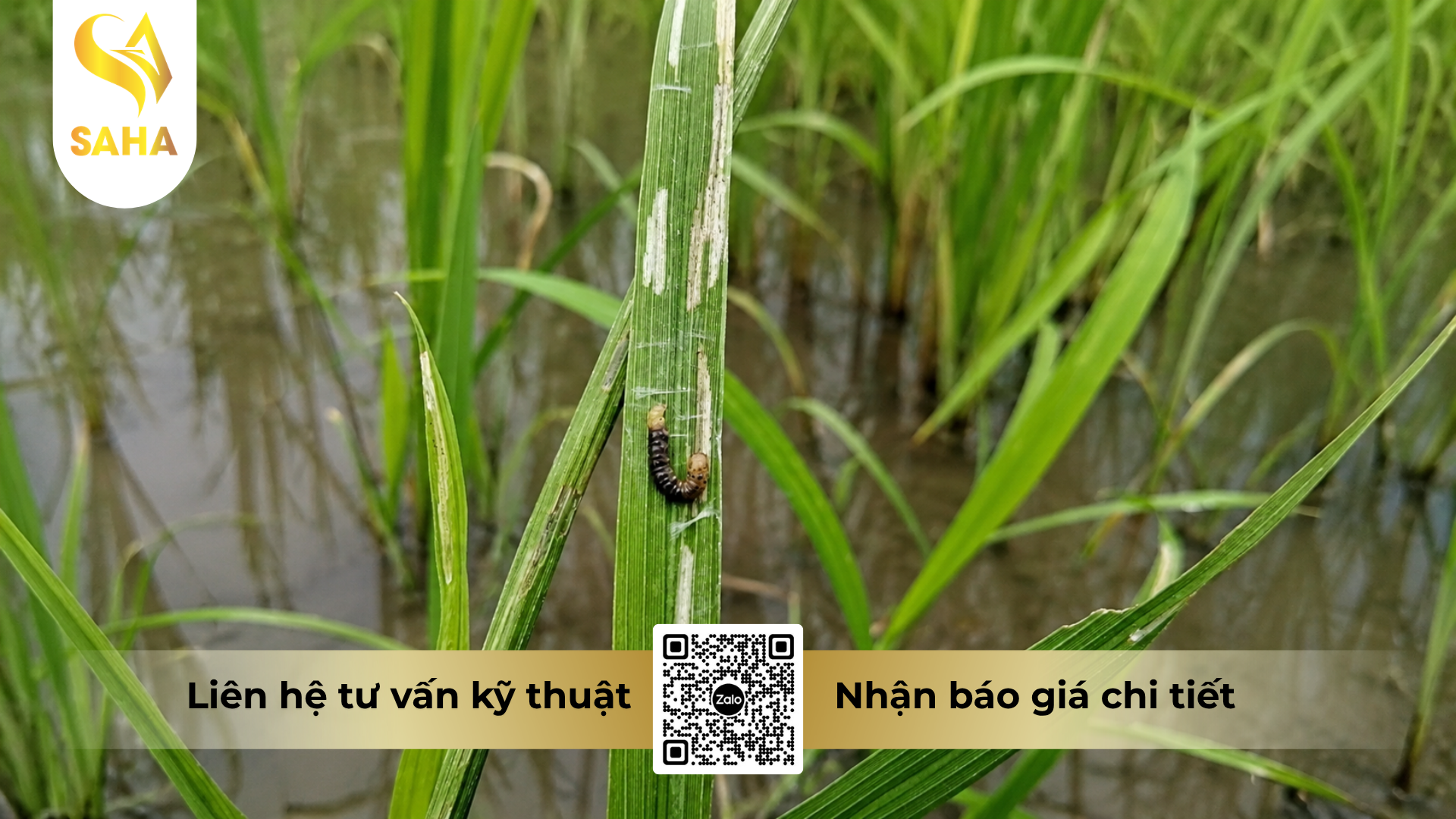 cong-dung-cua-thuoc-tru-sau-makegreen-55wg-hieu-sau-xanh-555.png