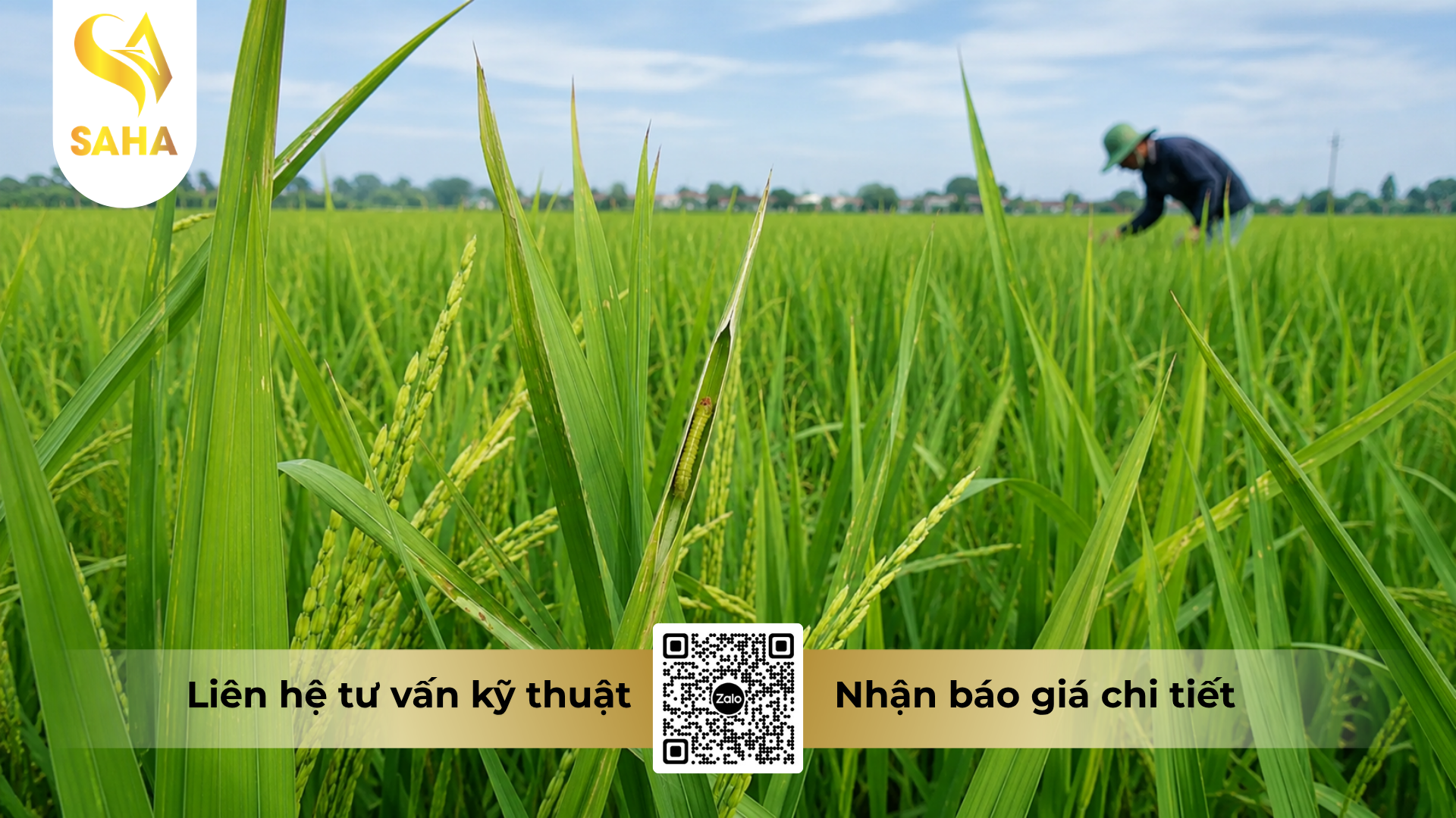cong-dung-cua-thuoc-tru-sau-rholam-super-100wg-hieu-ematrine-super-100.png