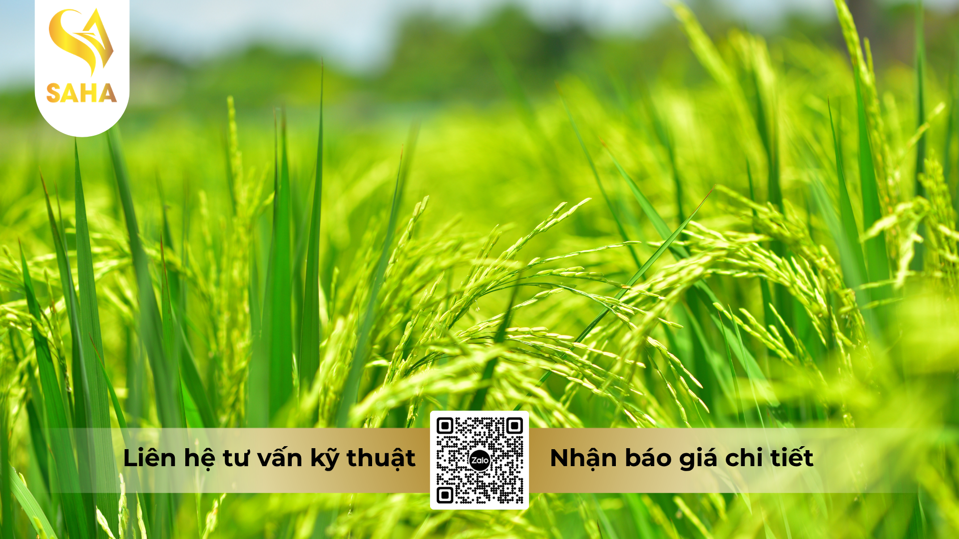 cau-hoi-thuong-gap-ve-thuoc-tru-sau-sun-eluron-45wg-hieu-shine-ron-450.png