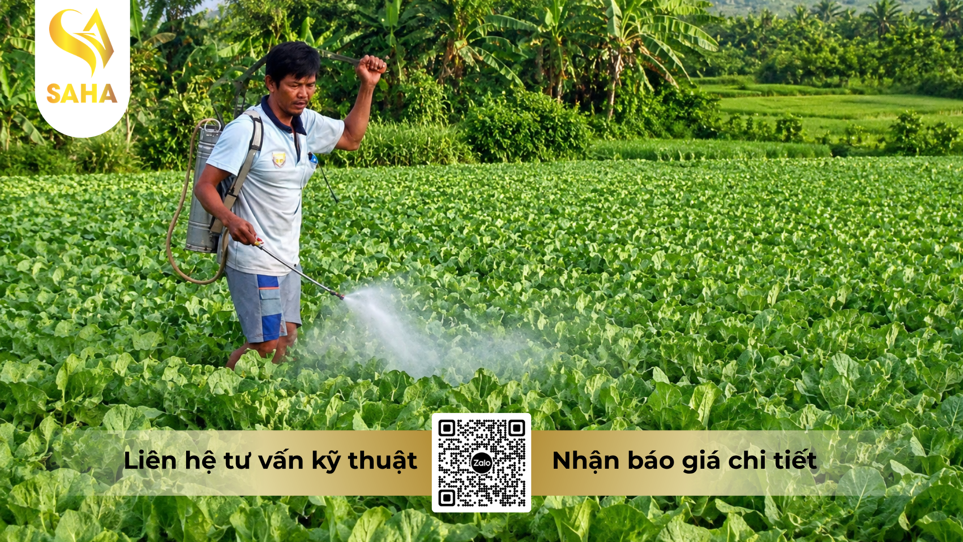 huong-dan-su-dung-thuoc-tru-sau-tumazine-500wp-hieu-ha-ma-cap.png