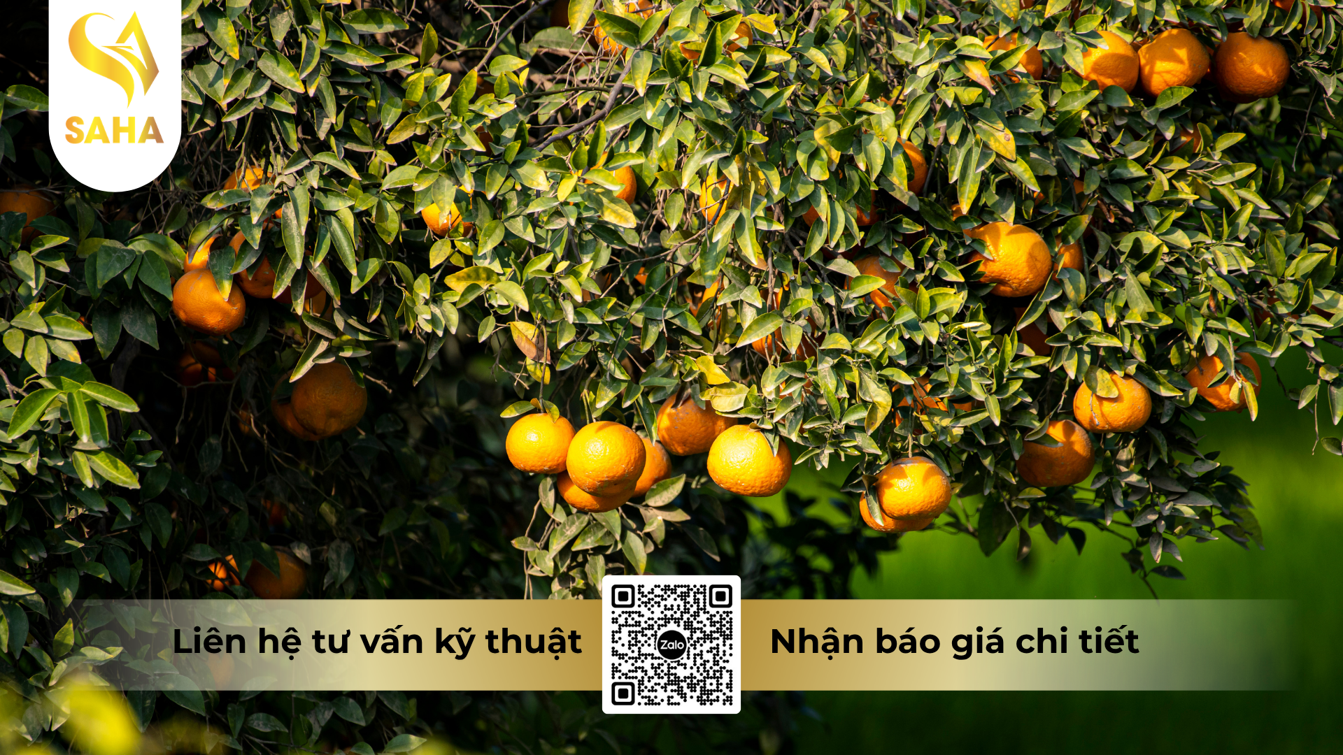 huong-dan-su-dung-thuoc-tru-sau-tumazine-500wp-hieu-ha-ma-cap-ve-bua.png