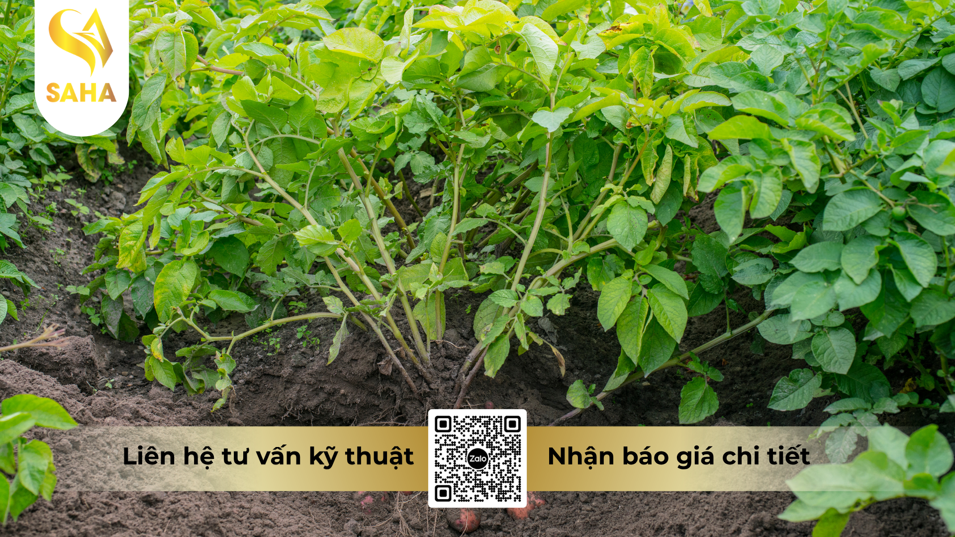 cau-hoi-thuong-gap-ve-thuoc-tru-benh-acodyl-25ec-240ml.png