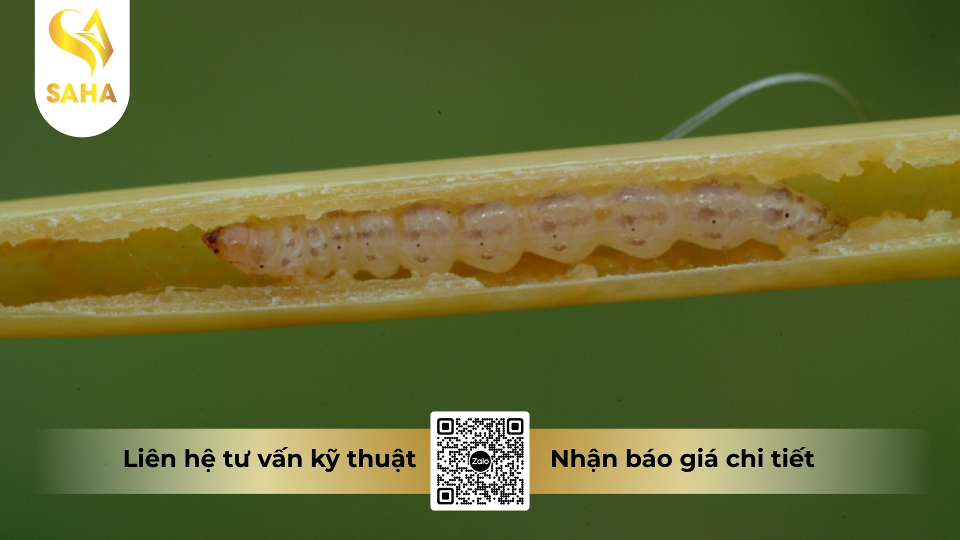 cau-hoi-thuong-gap.jpg