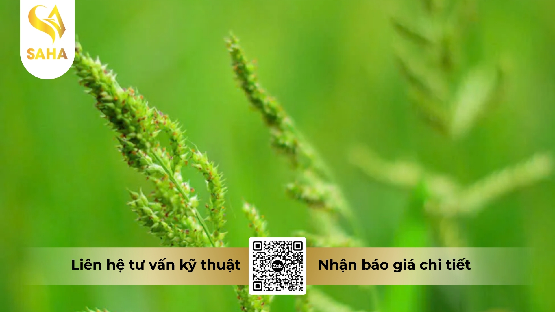 thong-tin-chung-thuoc-tru-co-asupergras-200sl.jpg
