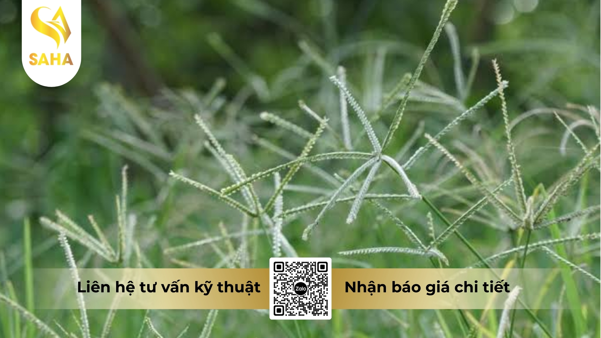 cong-dung-thuoc-tru-co-asupergras-200sl.jpg