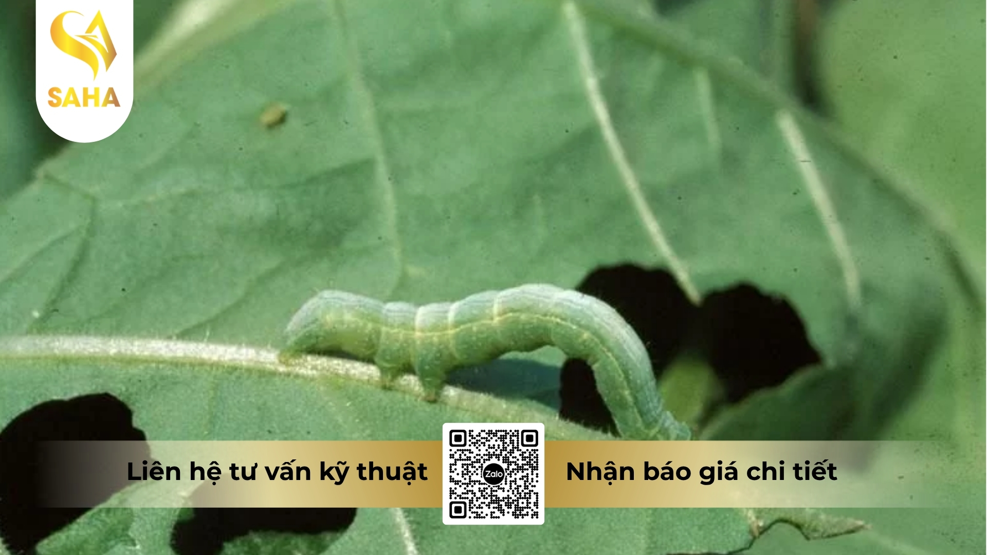 cong-dung-thuoc-tru-sau-agri-one-1sl.jpg