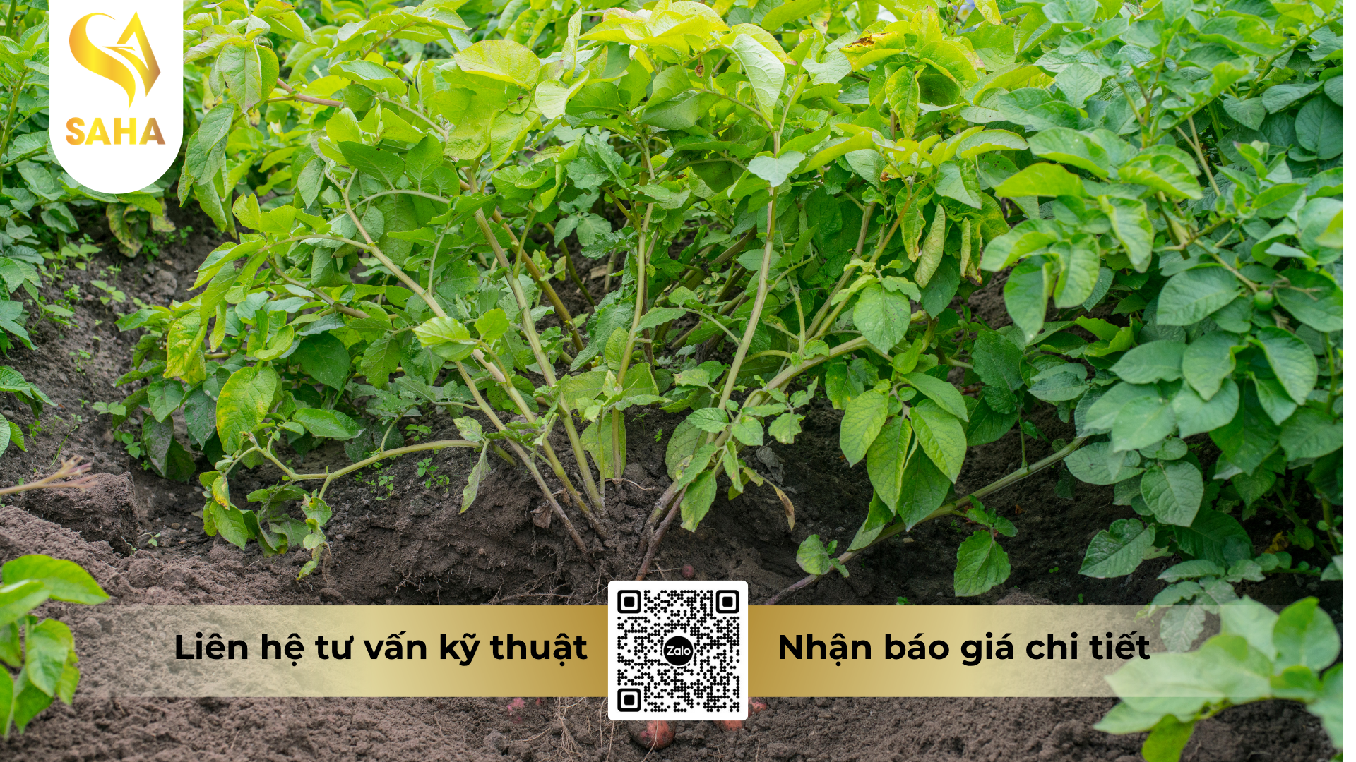 cau-hoi-thuong-gap-ve-thuoc-tru-benh-acodyl-25ec-hieu-hadyl-250.png