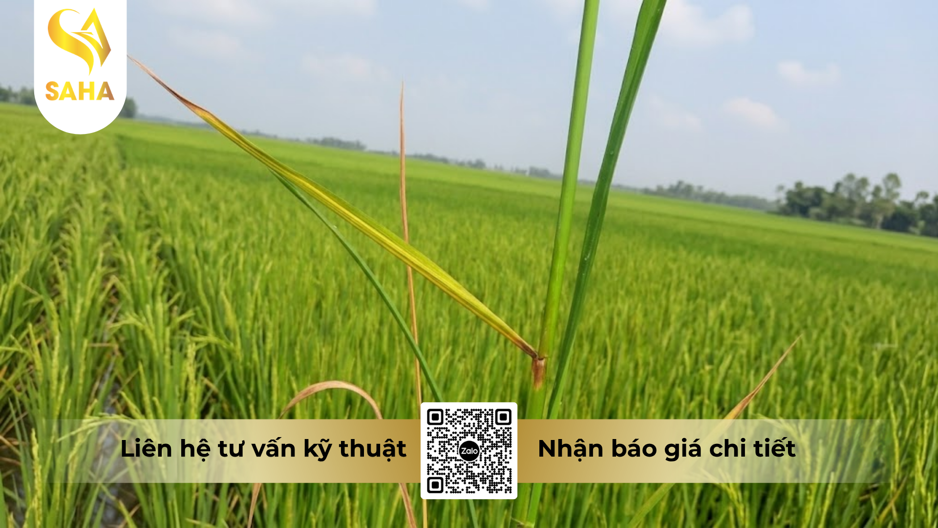 cong-dung-cua-thuoc-tru-benh-agcummins-30sc-hieu-sanbiny-300.png