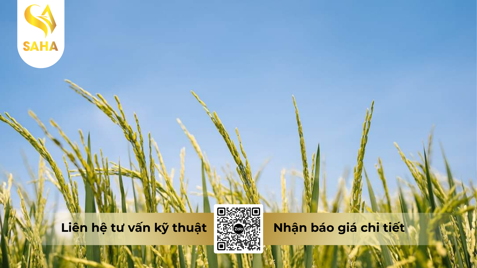 cau-hoi-thuong-gap-ve-thuoc-tru-benh-agcummins-30sc-hieu-sanbiny-300.png