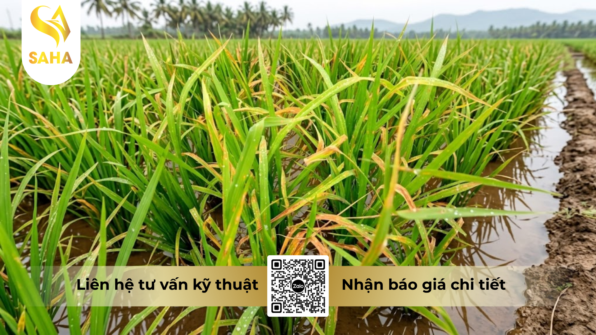 cong-dung-cua-thuoc-tru-benh-asmiltatop-super-400sc-hieu-habitop-400.png