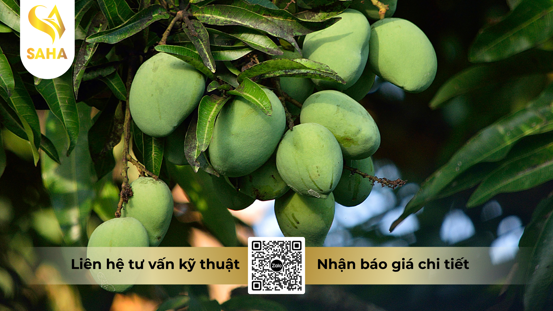 cau-hoi-thuong-gap-ve-thuoc-tru-benh-avial-660sc.png