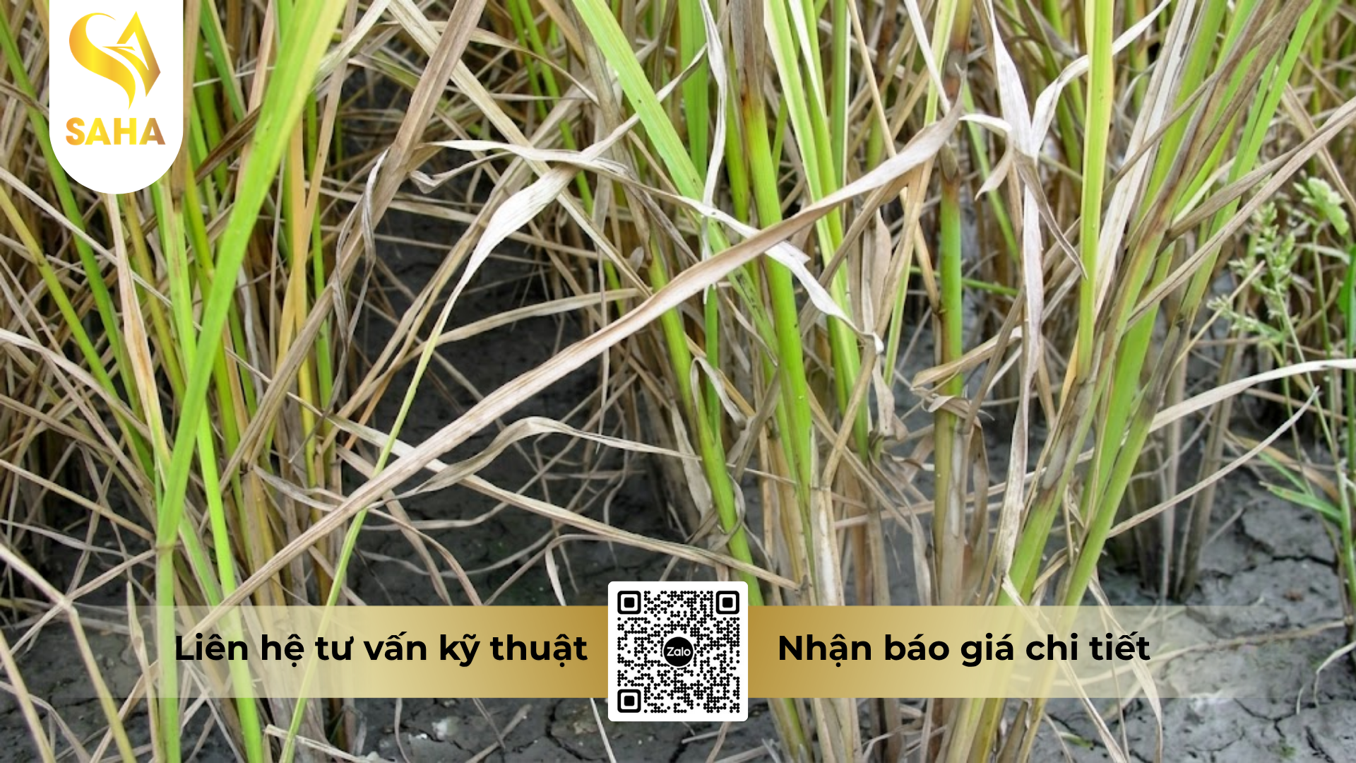 cau-hoi-thuong-gap-ve-thuoc-tru-benh-bretil-super-300ec-hieu-happy-super-300.png