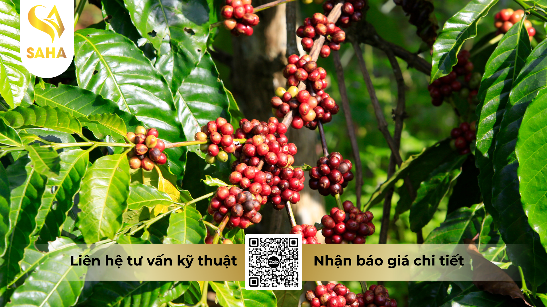 cau-hoi-thuong-gap-ve-thuoc-tru-benh-carolin-25sc-hieu-azotep-250.png
