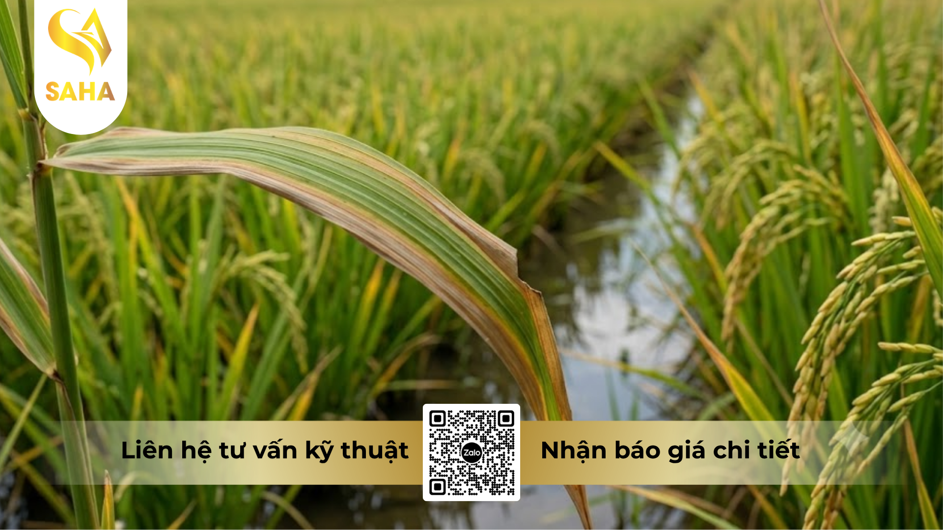 cong-dung-cua-thuoc-tru-benh-evanton-40sl-hieu-stop-khuan-400.png