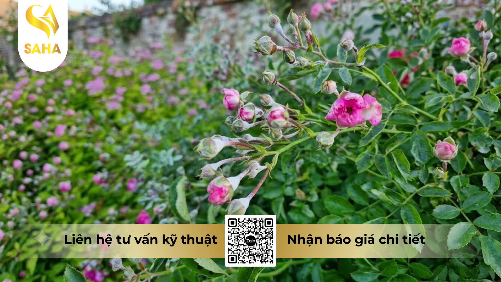 cong-dung-cua-thuoc-tru-benh-goruden-350sc.png