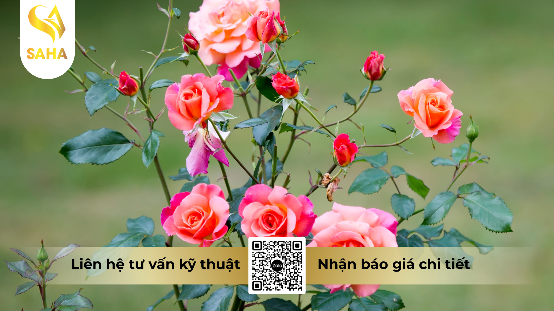 cau-hoi-thuong-gap-ve-thuoc-tru-benh-goruden-350sc.png