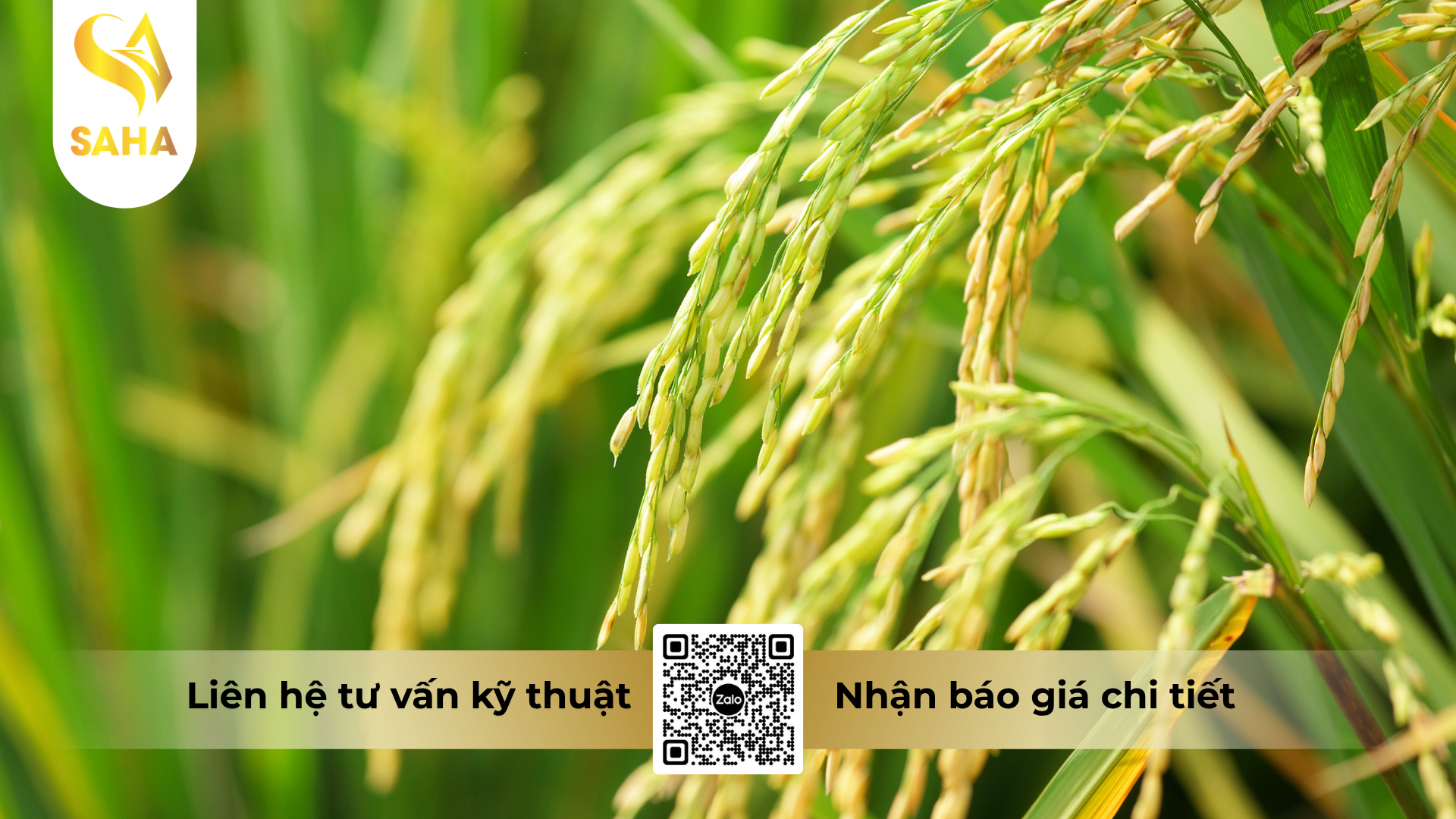 cau-hoi-thuong-gap-ve-thuoc-tru-benh-kamsu-2sl.png