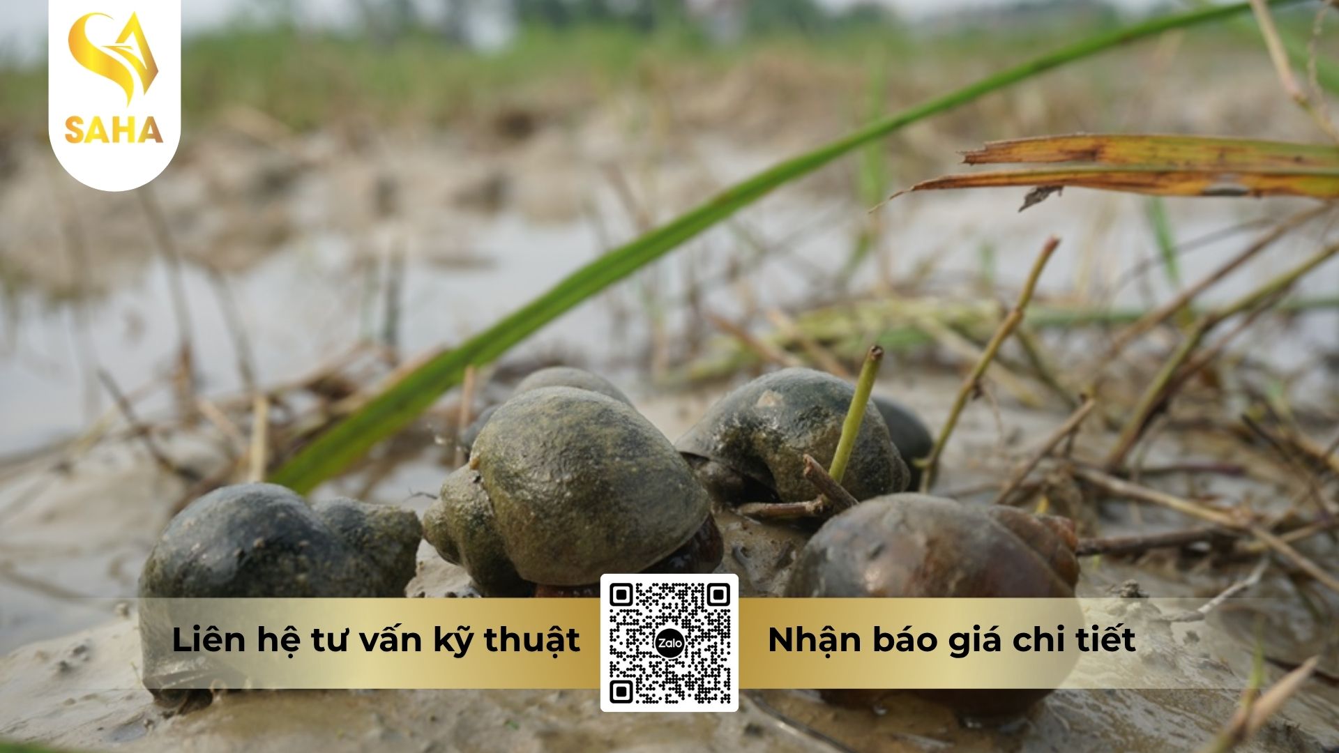 cau-hoi-thuong-gap.jpg