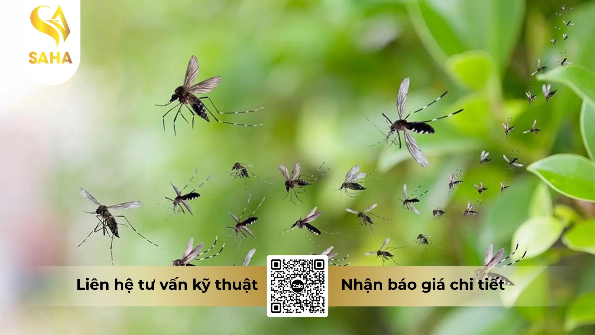 cau-hoi-thuong-gap.jpg
