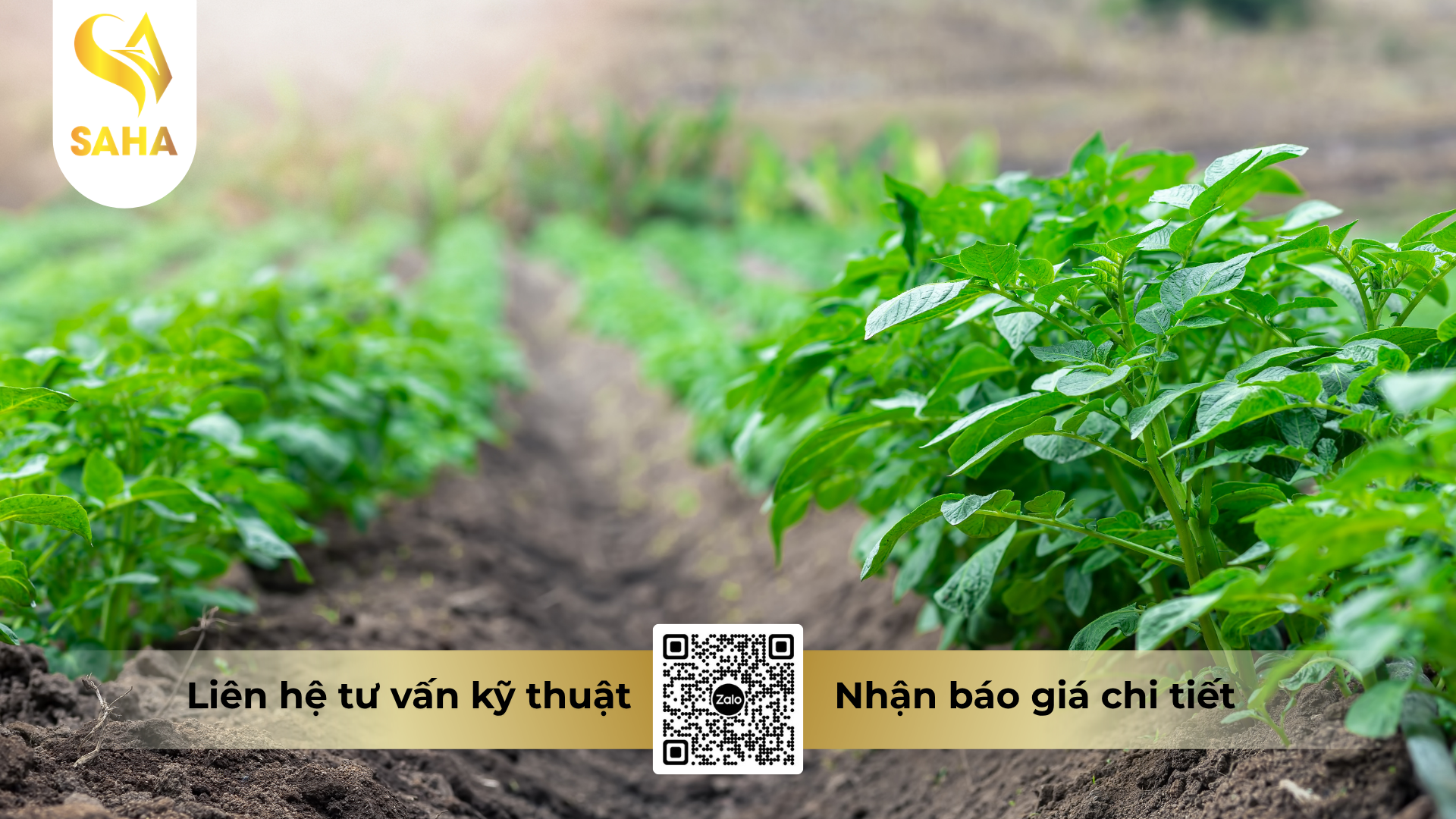cau-hoi-thuong-gap-ve-thuoc-tru-benh-quinozamzar-240sc-hieu-halumide-240.png