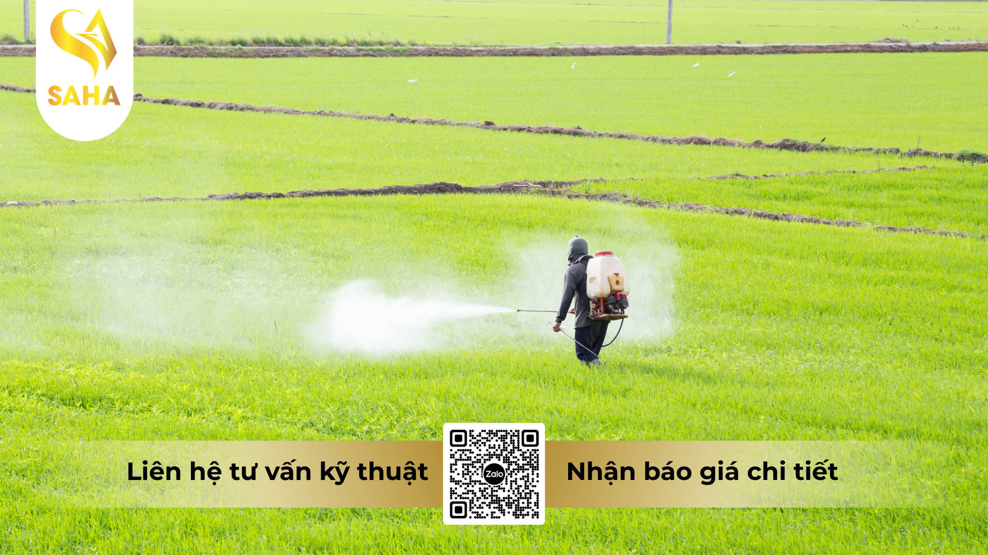 huong-dan-su-dung-thuoc-tru-benh-longanvin-gold-150sc-hieu-sanvil-super-sc.png