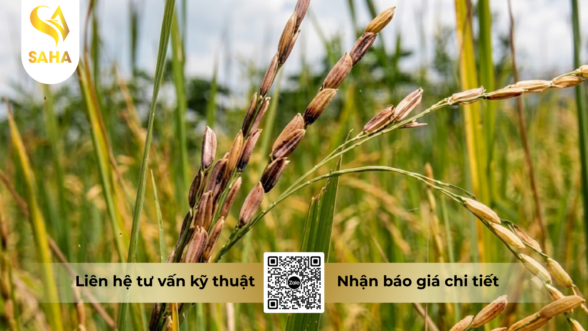 cau-hoi-thuong-gap-ve-thuoc-tru-benh-mitop-one-390sc-hieu-happy-top.png