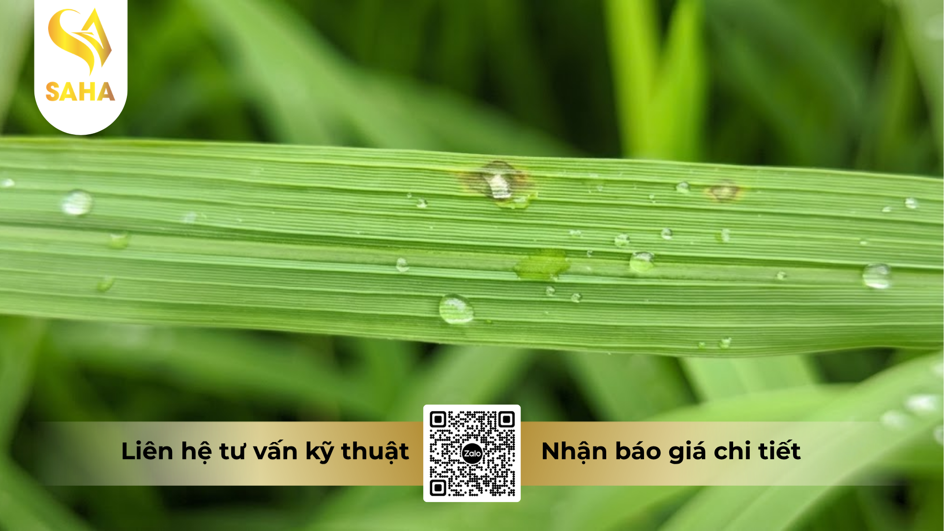 cong-dung-cua-thuoc-tru-benh-mitop-one-390sc-hieu-happy-top.png