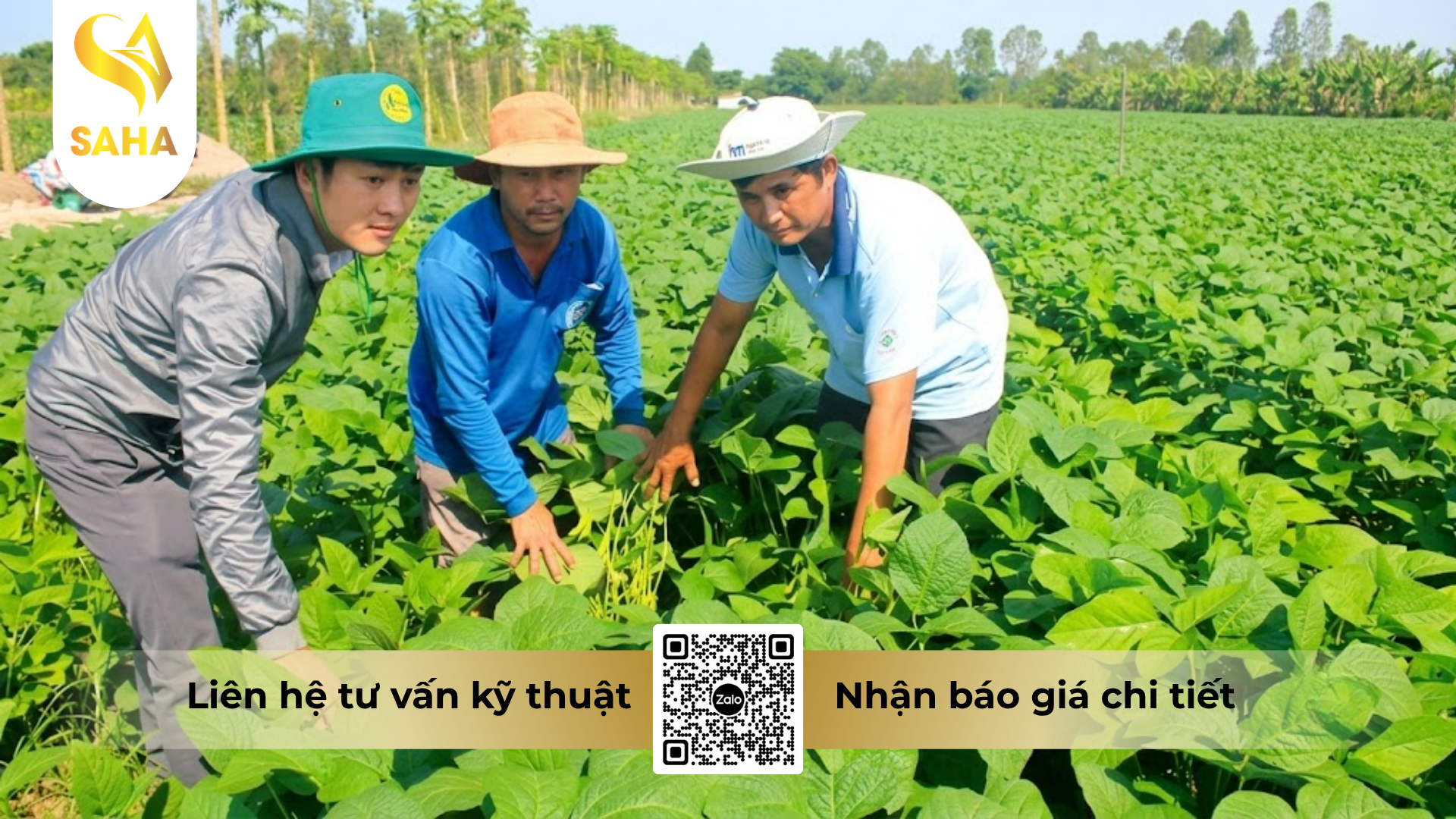 huong-dan-su-dung-thuoc-tru-benh-picosuper-280sc.png