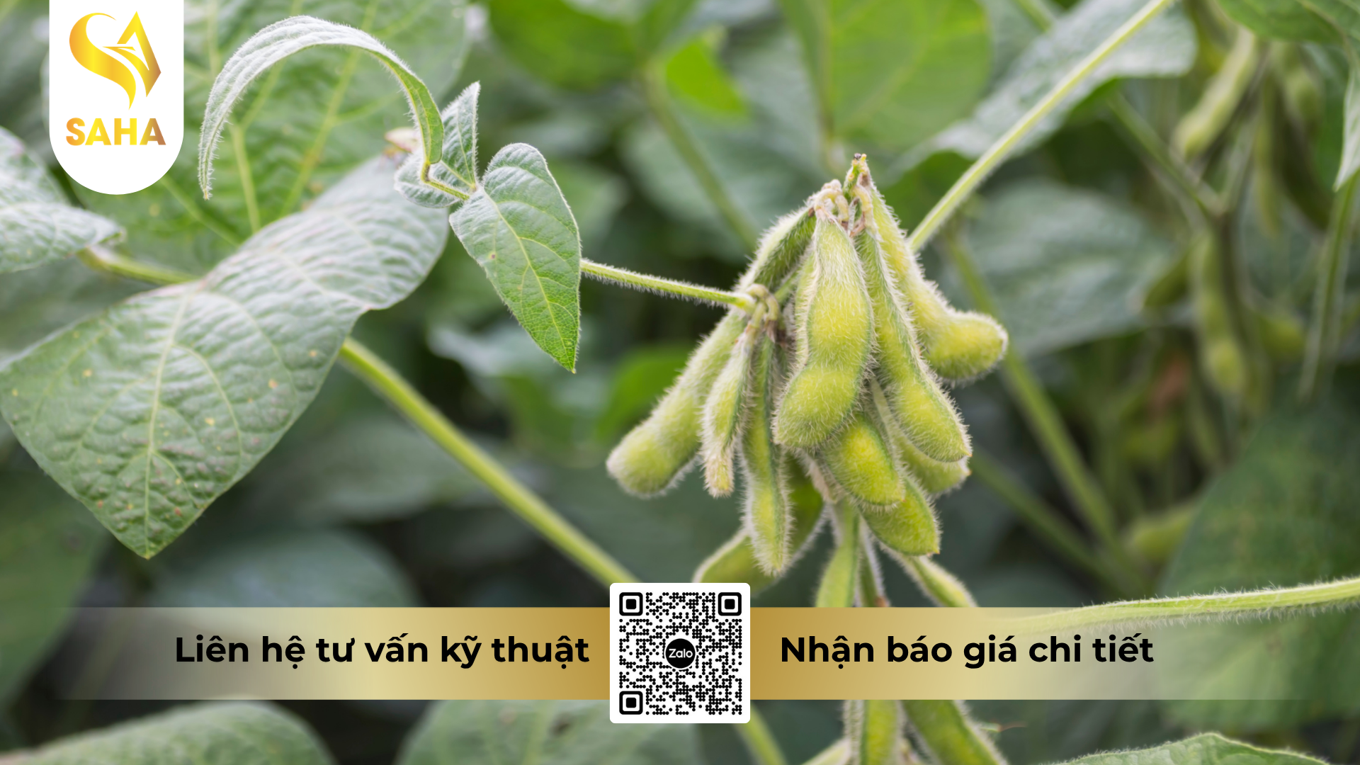 cau-hoi-thuong-gap-ve-thuoc-tru-benh-picosuper-280sc.png