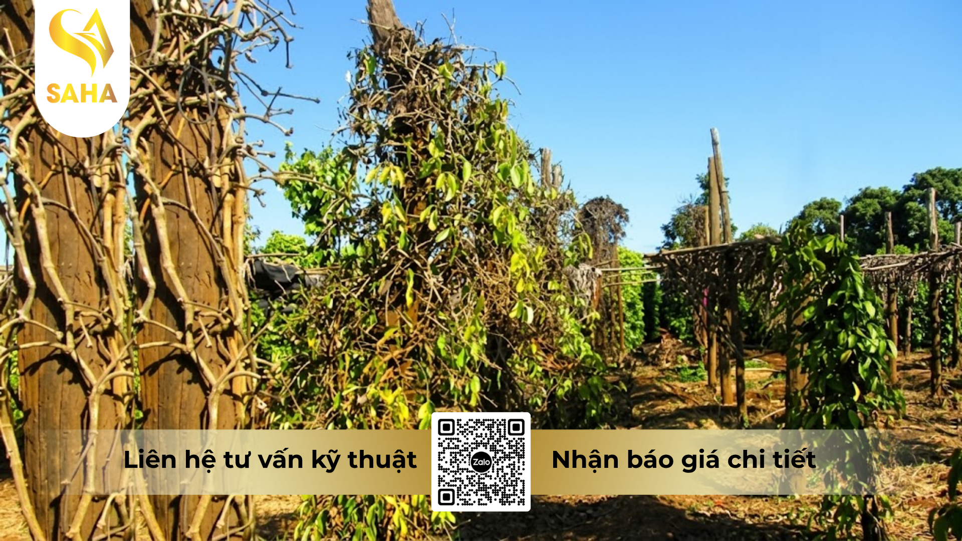 cong-dung-cua-thuoc-tru-benh-salegold-250ec.png