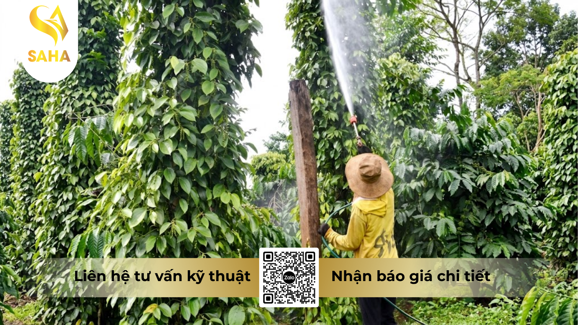huong-dan-su-dung-thuoc-tru-benh-salegold-250ec.png