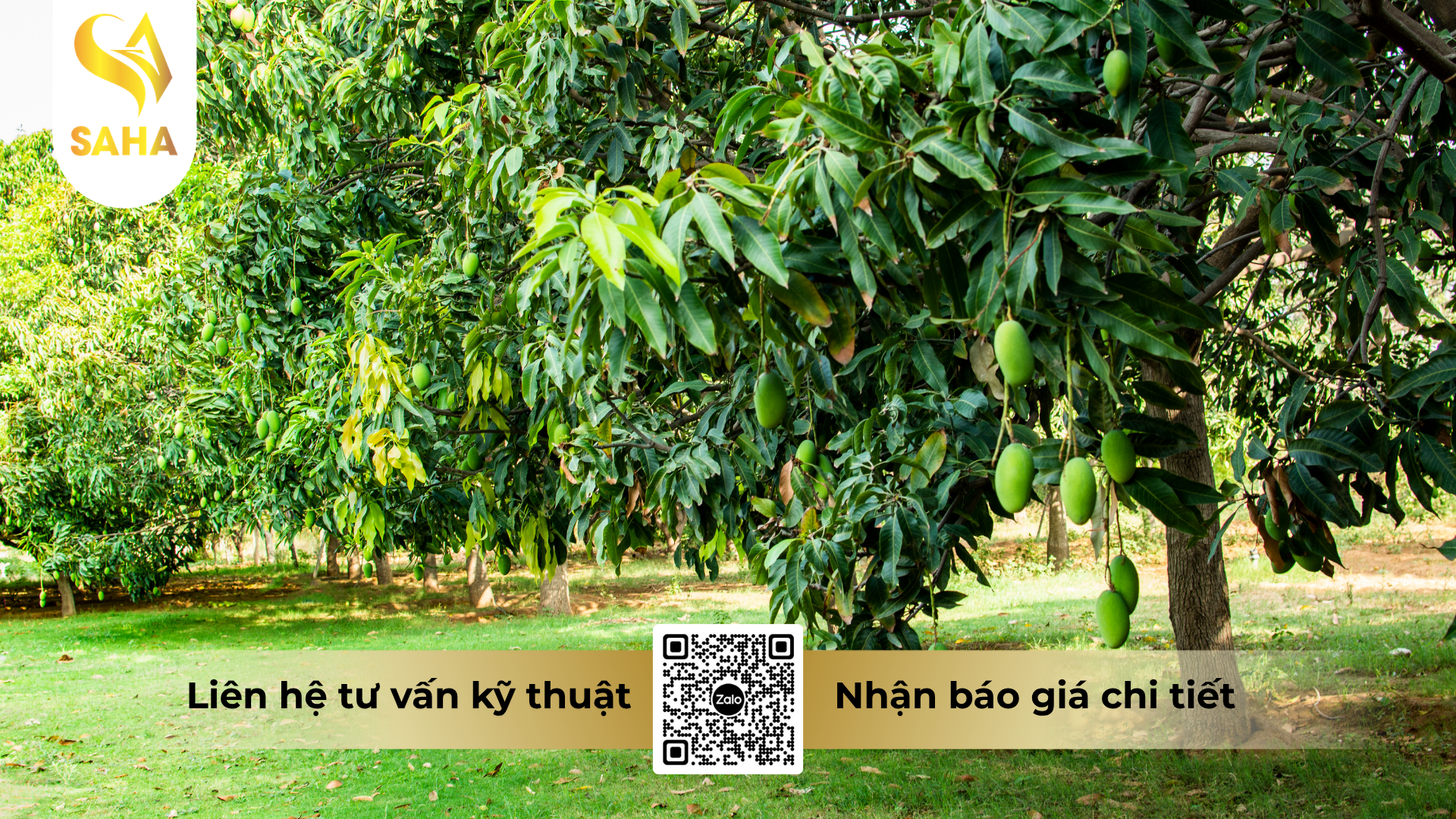 cau-hoi-thuong-gap-ve-thuoc-tru-benh-sam-robin-250sc-hieu-azoplus-250.png