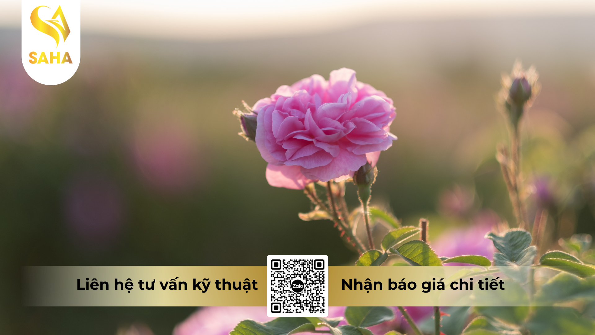 cau-hoi-thuong-gap-ve-thuoc-tru-benh-samconil-500sc-hieu-riconil-500.png