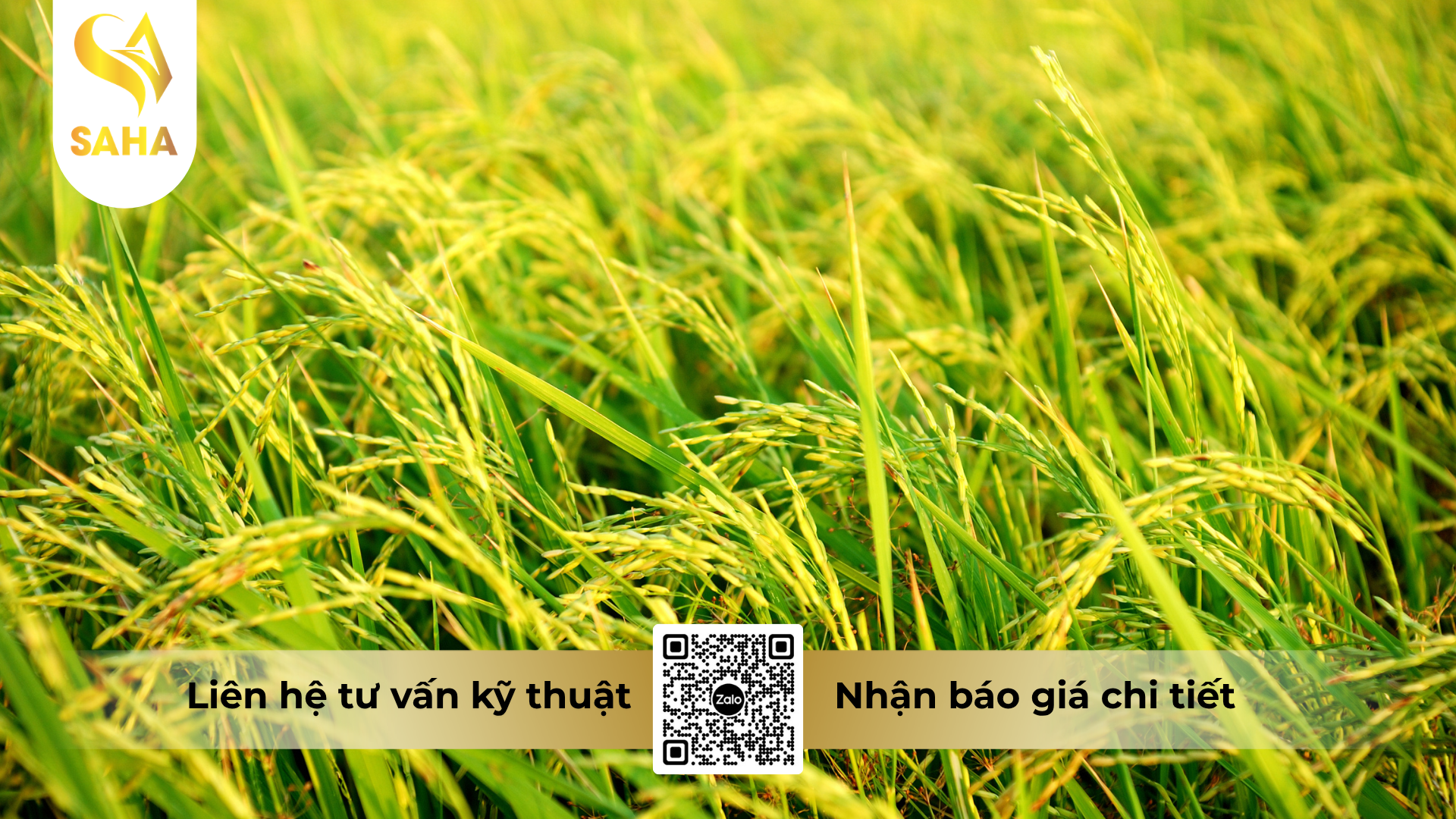 cau-hoi-thuong-gap-ve-thuoc-tru-benh-sosim-300sc.png