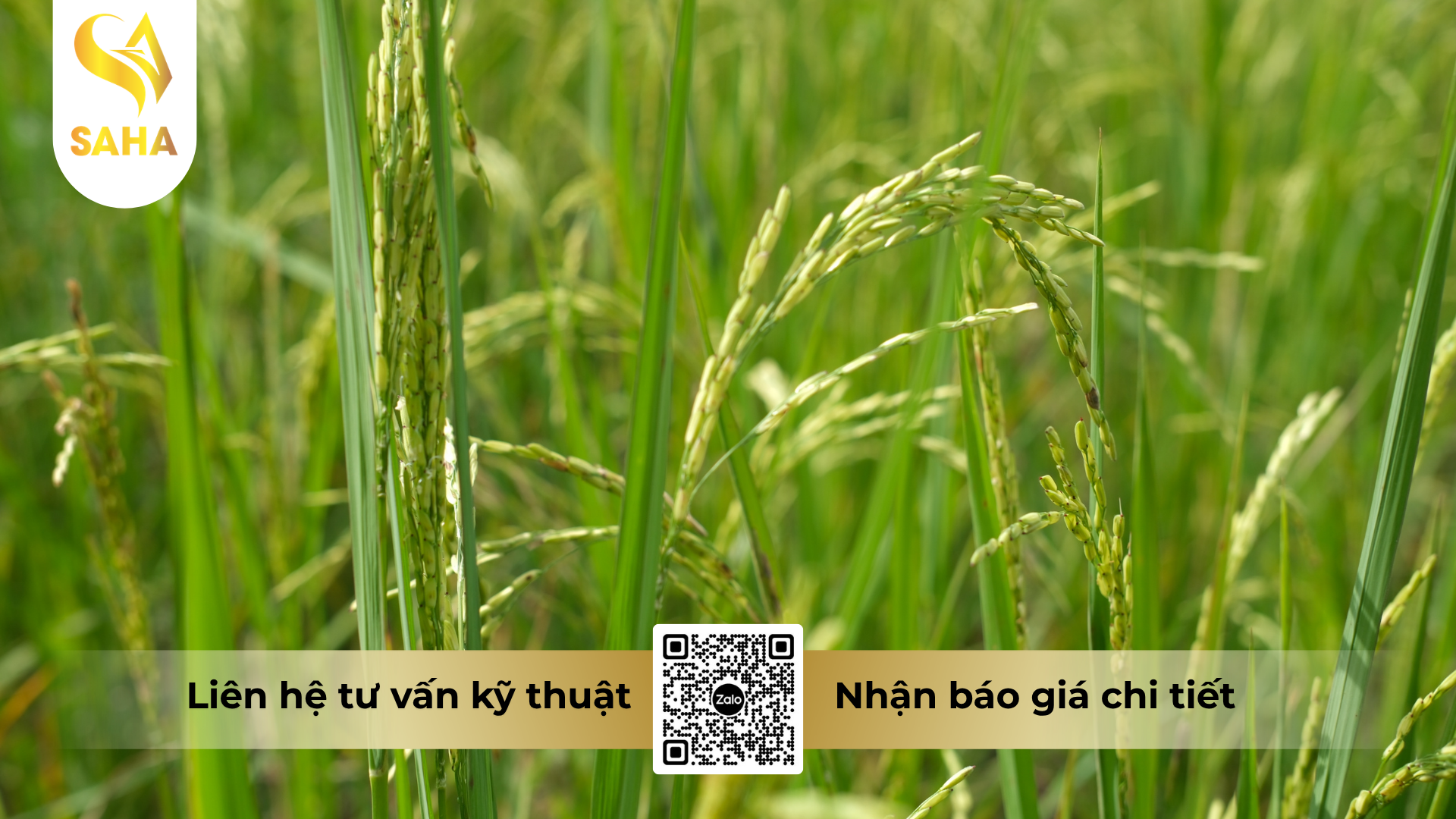 cau-hoi-thuong-gap-ve-thuoc-tru-benh-tezole-super-300sc.png
