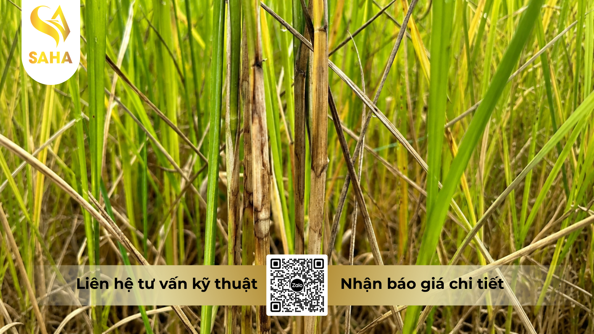 cong-dung-cua-thuoc-tru-benh-valivithaco-5sc.png