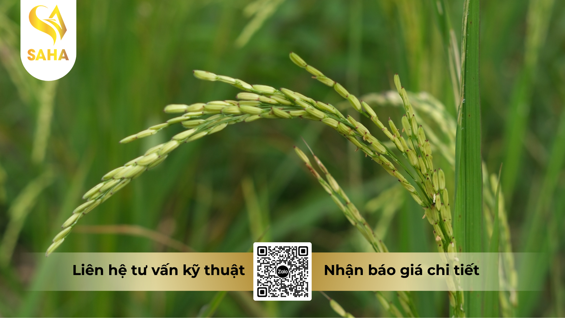 cau-hoi-thuong-gap-ve-thuoc-tru-benh-valivithaco-5sc.png