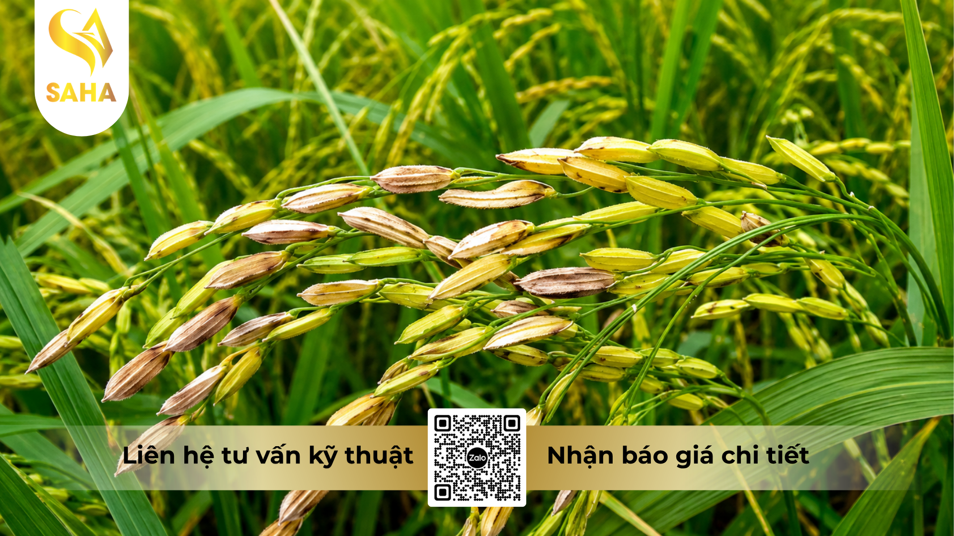 cong-dung-cua-thuoc-tru-benh-amilan-300sc-hieu-hazole-super.png