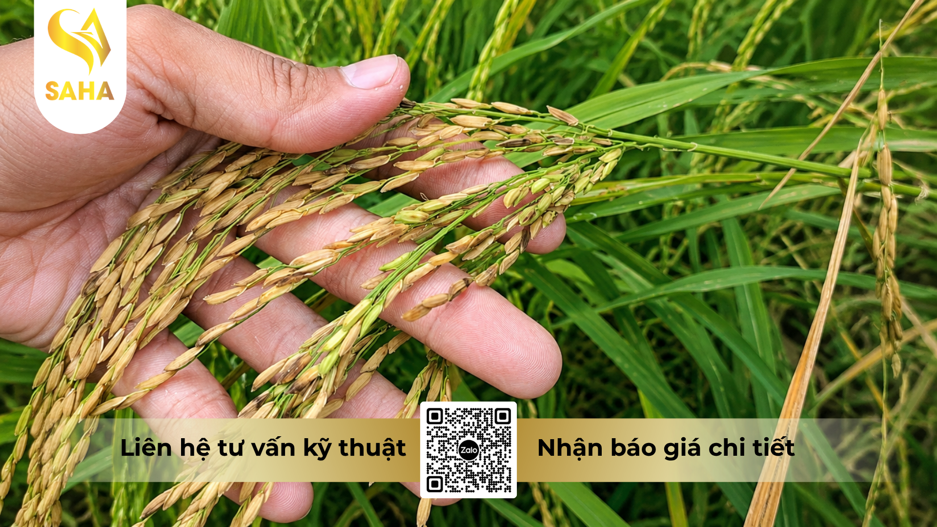cong-dung-cua-thuoc-tru-benh-amilan-300sc-hieu-hazole-super-1l.png