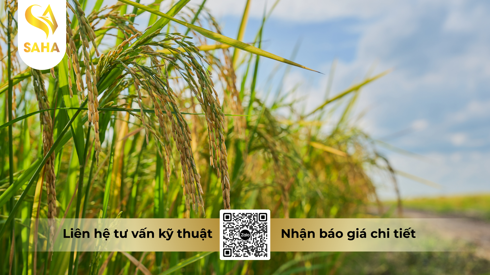 cau-hoi-thuong-gap-ve-thuoc-tru-benh-hakivil-5sc-hieu-hanivil-500.png